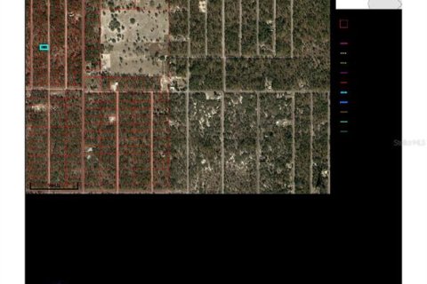 Terrain à Dunnellon, Floride № 2163814