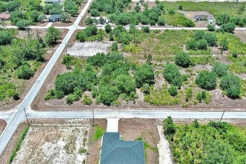 Land in Lehigh Acres, Florida № 2164309 - photo 8