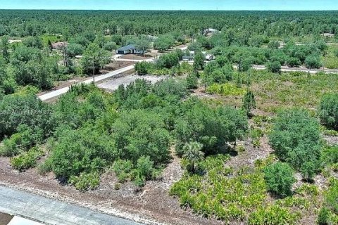 Land in Lehigh Acres, Florida № 2164309 - photo 4