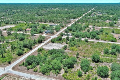 Land in Lehigh Acres, Florida № 2164309 - photo 9
