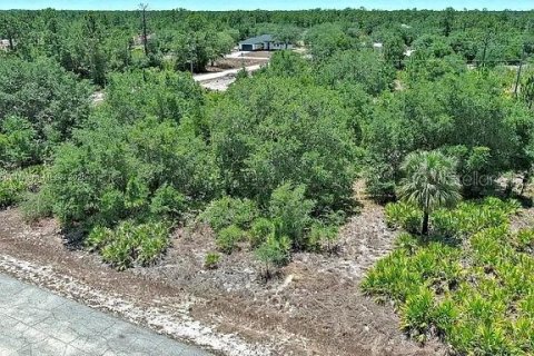 Land in Lehigh Acres, Florida № 2164309 - photo 2
