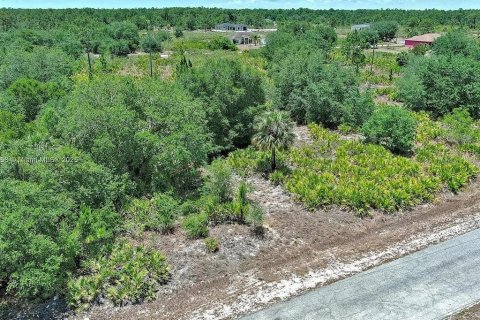 Land in Lehigh Acres, Florida № 2164309 - photo 3