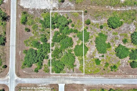 Land in Lehigh Acres, Florida № 2164309