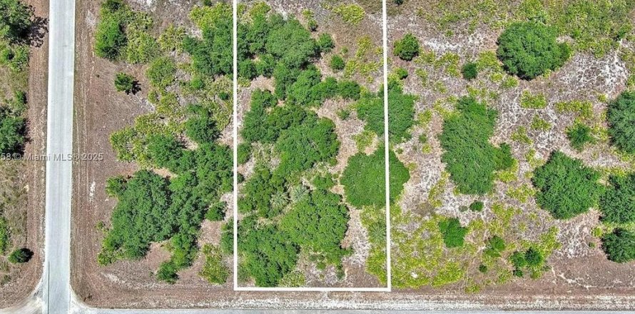 Land in Lehigh Acres, Florida № 2164309
