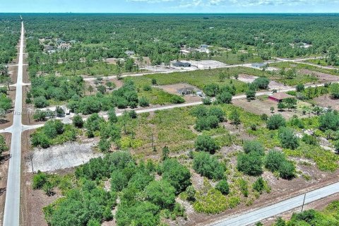 Land in Lehigh Acres, Florida № 2164309 - photo 7