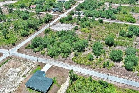 Land in Lehigh Acres, Florida № 2164309 - photo 10