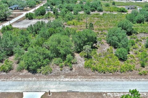 Land in Lehigh Acres, Florida № 2164309 - photo 5