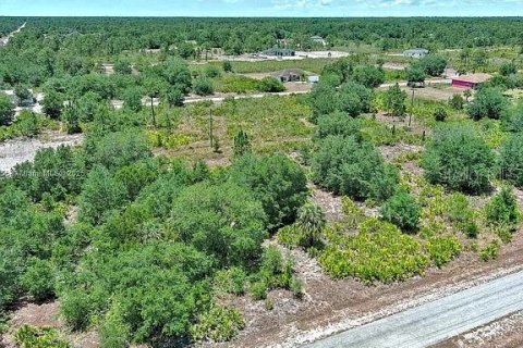 Land in Lehigh Acres, Florida № 2164309 - photo 6