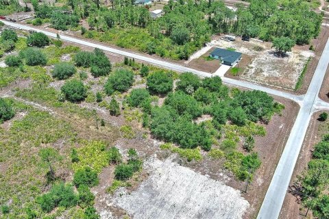 Land in Lehigh Acres, Florida № 2164309 - photo 14