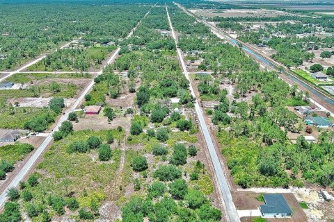 Land in Lehigh Acres, Florida № 2164309 - photo 11