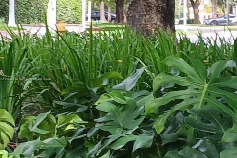 Townhouse in Coral Gables, Florida 2 bedrooms, 222.97 sq.m. № 1978061 - photo 22