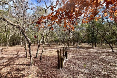 Terreno en venta en Fort White, Florida № 1546903 - foto 2