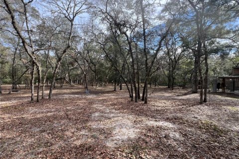 Terreno en venta en Fort White, Florida № 1546903 - foto 1