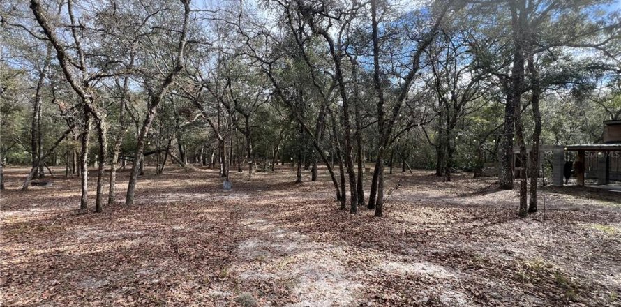 Land in Fort White, Florida № 1546903