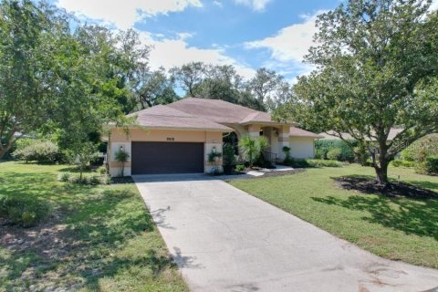 House in Homosassa, Florida 3 bedrooms, 234.3 sq.m. № 2391133