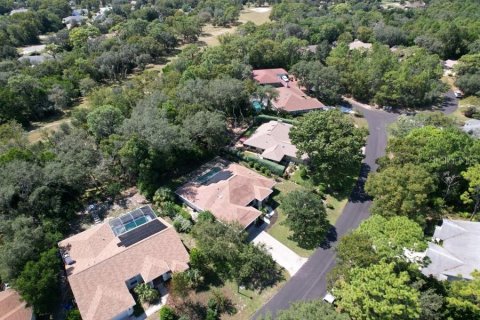 House in Homosassa, Florida 3 bedrooms, 234.3 sq.m. № 2391133 - photo 3