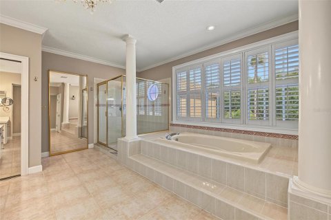 Touwnhouse à louer à Palm Harbor, Floride: 3 chambres, 337.51 m2 № 2415153 - photo 15
