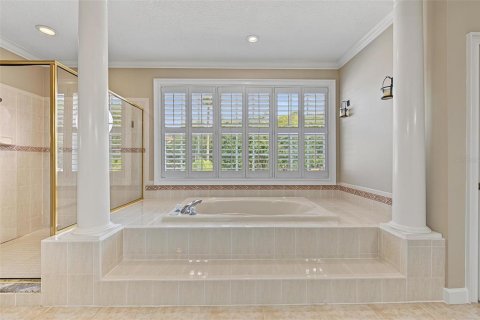 Touwnhouse à louer à Palm Harbor, Floride: 3 chambres, 337.51 m2 № 2415153 - photo 13