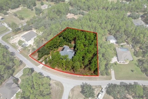 House in Beverly Hills, Florida 3 bedrooms, 242.38 sq.m. № 1909554 - photo 7