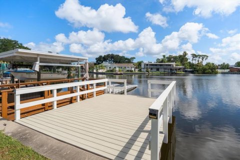 Condo in Palm Harbor, Florida, 1 bedroom № 2302687