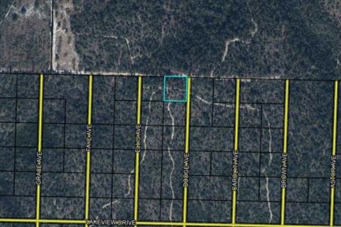 Land in Youngstown, Florida № 2118543