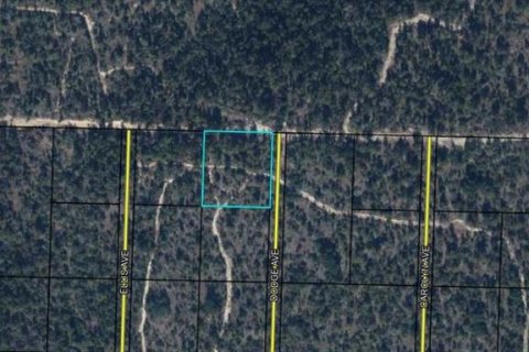 Land in Youngstown, Florida № 2118543 - photo 4