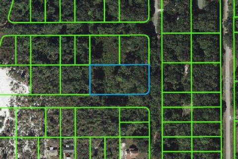 Land in Lake Placid, Florida № 584359 - photo 1
