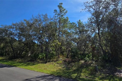 Land in Homosassa, Florida № 2162554 - photo 2