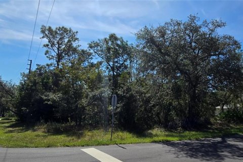 Land in Homosassa, Florida № 2162554 - photo 4
