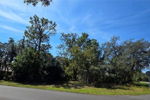 Land in Homosassa, Florida № 2162554 - photo 5