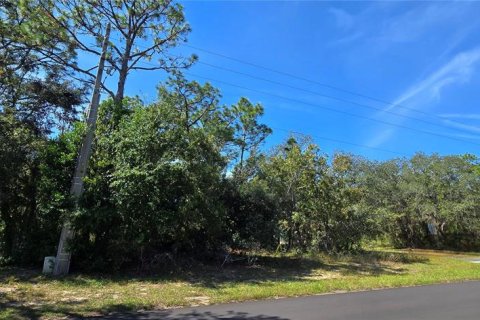 Land in Homosassa, Florida № 2162554 - photo 3