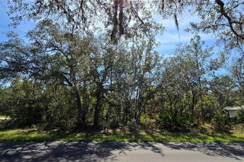 Land in Homosassa, Florida № 2162554
