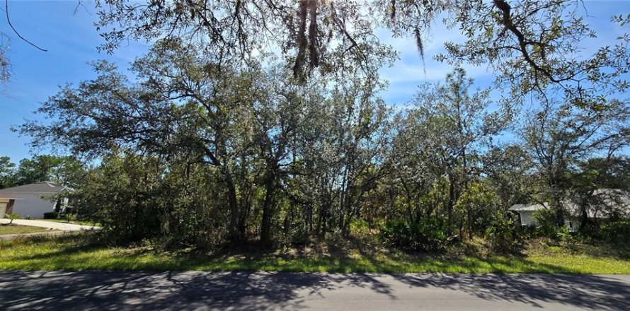 Land in Homosassa, Florida № 2162554