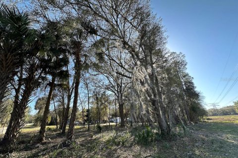 Land in Fort MC Coy, Florida № 2322583