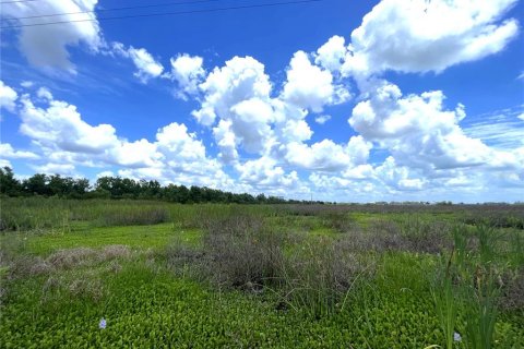 Terrain à vendre à Myakka City, Floride № 2239732 - photo 6