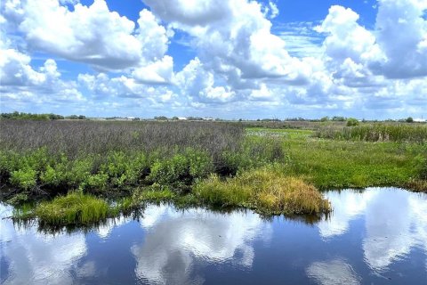 Land in Myakka City, Florida № 2239732