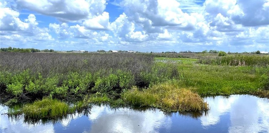 Terrain à Myakka City, Floride № 2239732