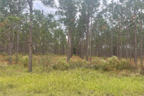 Villa ou maison à louer à Brooksville, Floride: 3 chambres, 127.93 m2 № 2167659 - photo 27