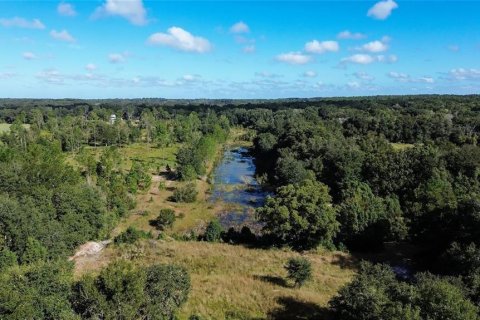 Terrain à vendre à Eustis, Floride № 2314272 - photo 4