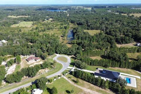 Terrain à Eustis, Floride № 2314272