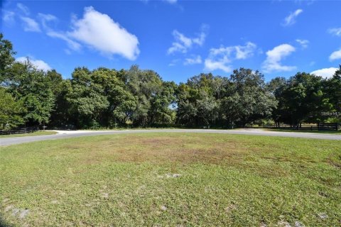 Terrain à vendre à Eustis, Floride № 2314272 - photo 5