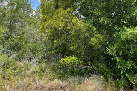 Land in Punta Gorda, Florida № 2158785