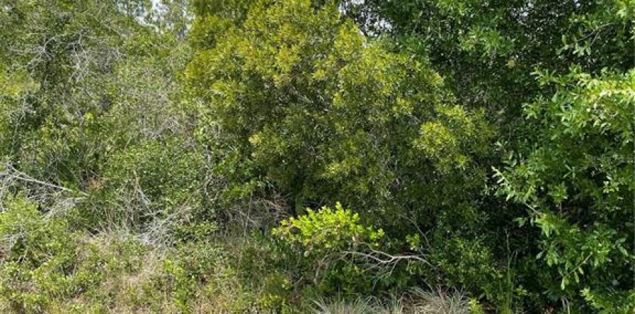 Land in Punta Gorda, Florida № 2158785