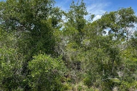 Land in Punta Gorda, Florida № 2158785 - photo 5