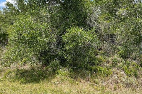 Land in Punta Gorda, Florida № 2158785 - photo 3