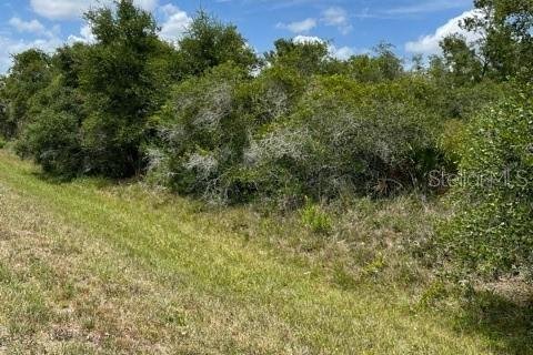 Land in Punta Gorda, Florida № 2158785 - photo 2