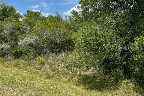 Land in Punta Gorda, Florida № 2158785 - photo 4