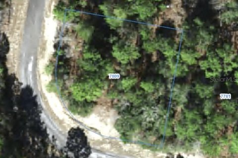 Land in Citrus Springs, Florida № 2388279