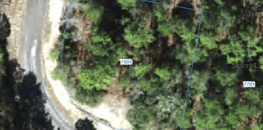 Land in Citrus Springs, Florida № 2388279