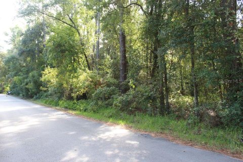 Terreno en venta en Gainesville, Florida № 1687458 - foto 1